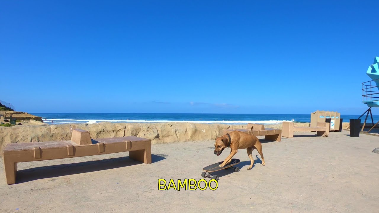 Bamboo Skates Seaside Two