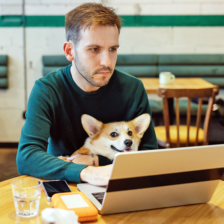 Man on his laptop with his Corgi dog, in a cafe.