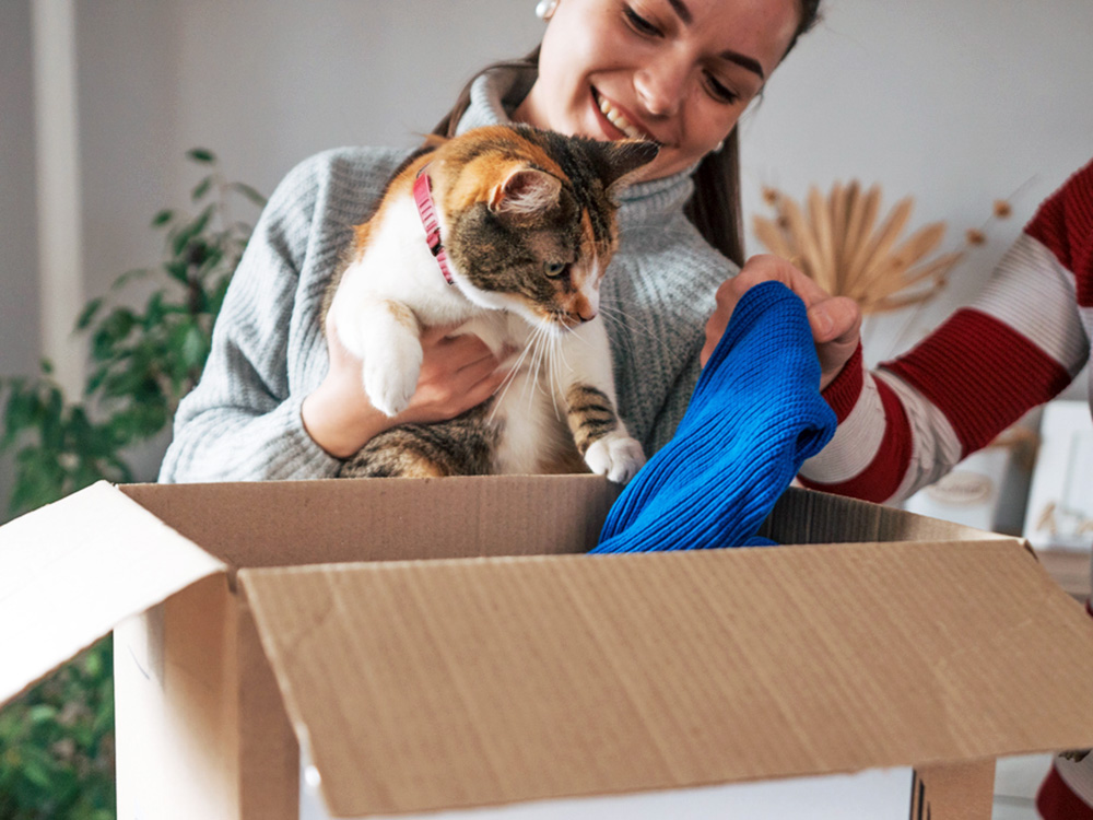 Person with a cat opening a package