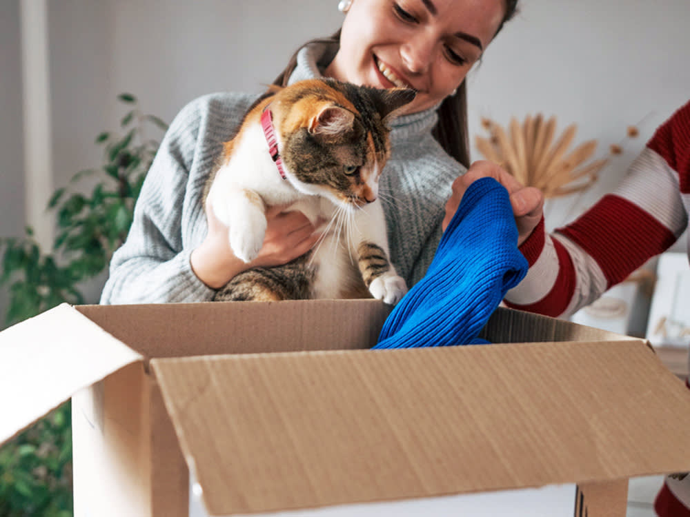 Person with a cat opening a package