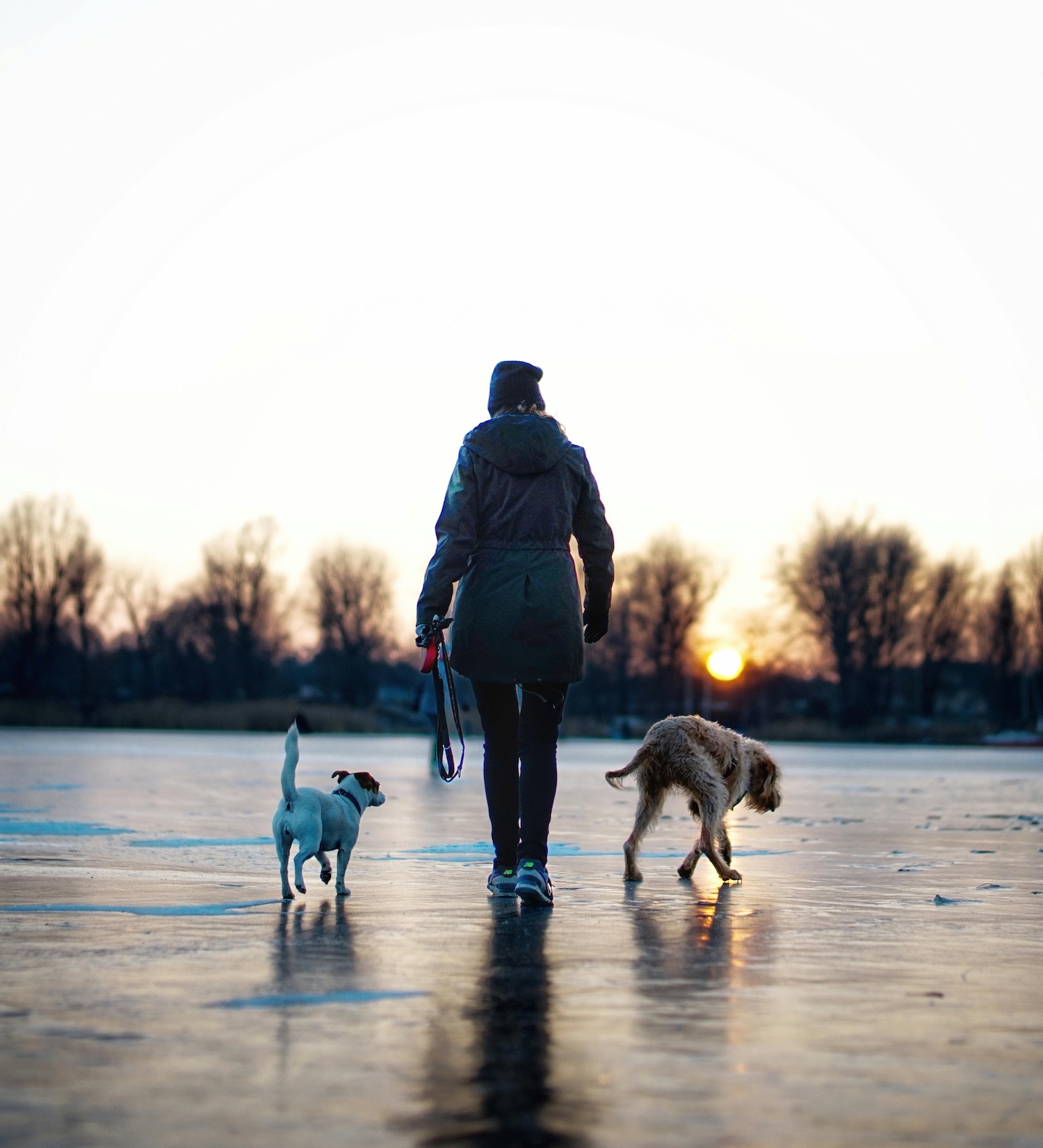 a picture of a person in a winter coat walking two dogs on a beach