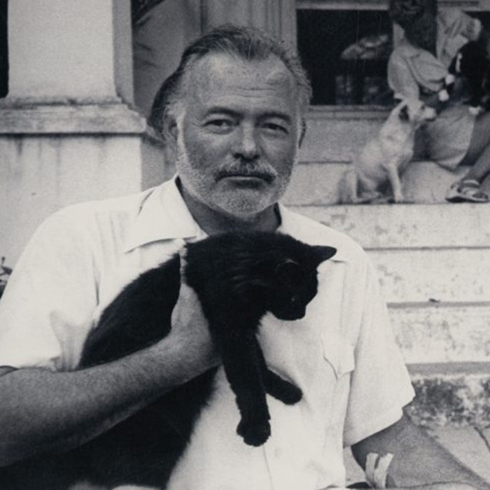Courtesy of Hemingway