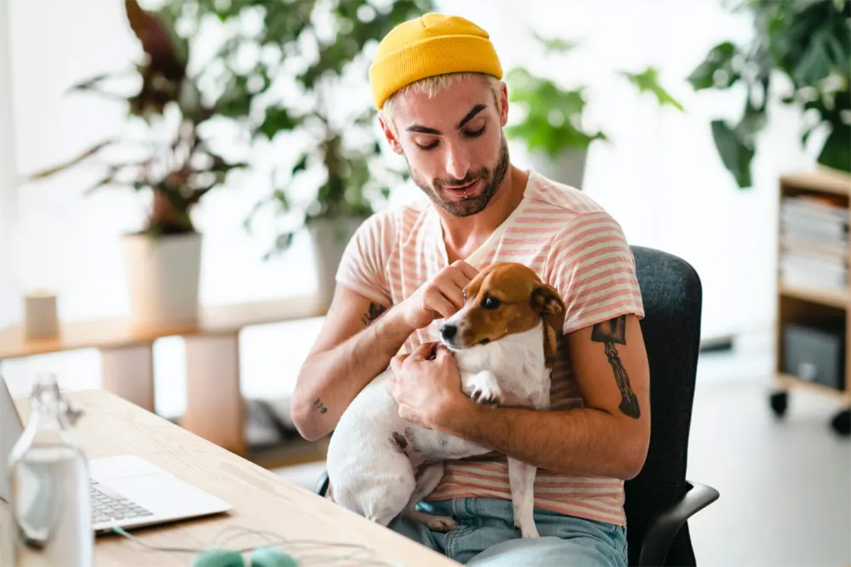 Man holding a dog in an office