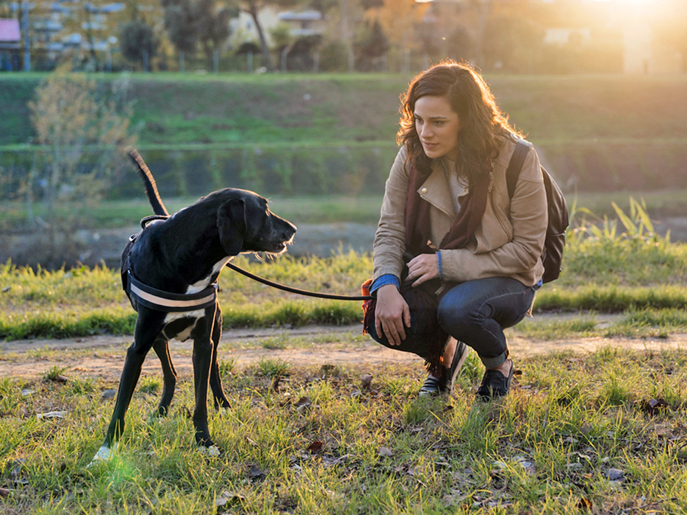 Woman staring at her dog on a leash outside in the grass.