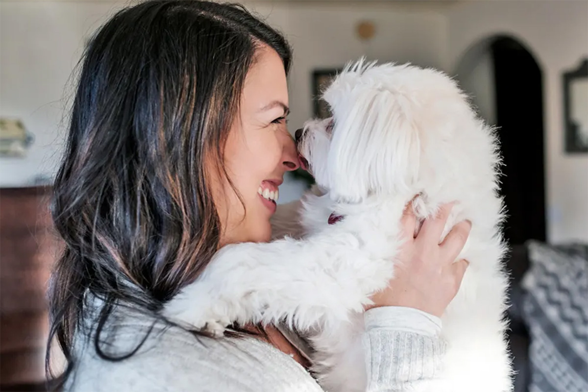 Person looking at dog