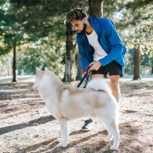 man unleashing dog in a park