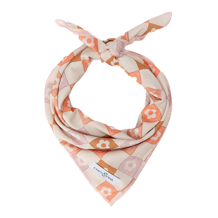 Lucy & Co. bandana
