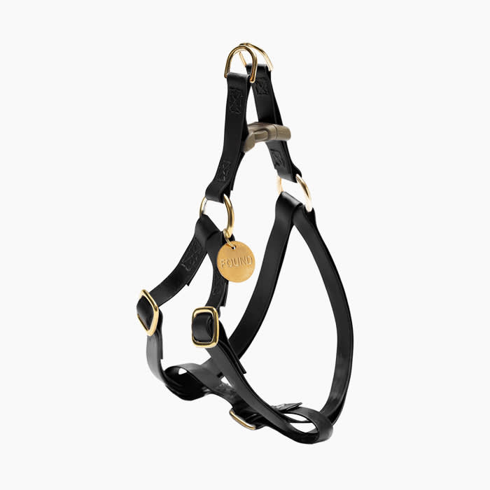 black leather harness with gold hardware