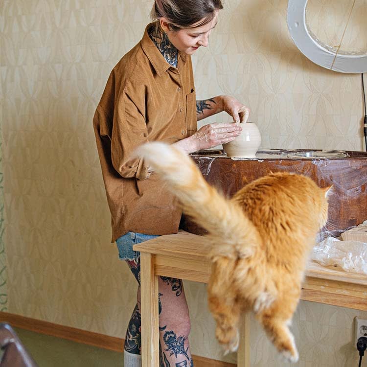 A cat being friendly with a dog outside. 