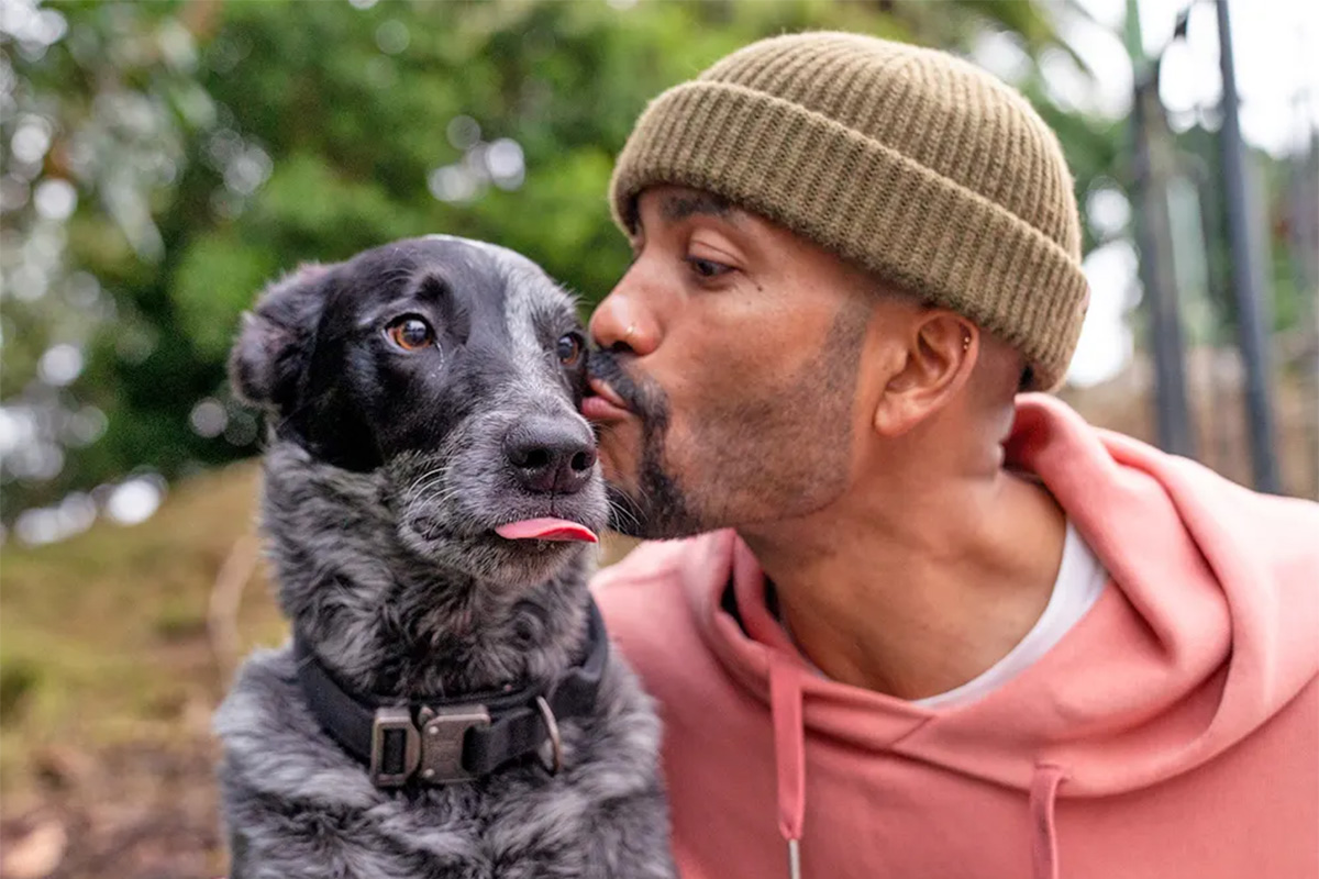 Why do dogs hate men?