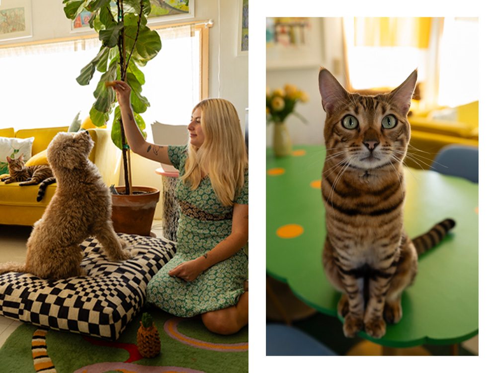 Lorien Stern with her dog; Lorien Stern's cat on a table