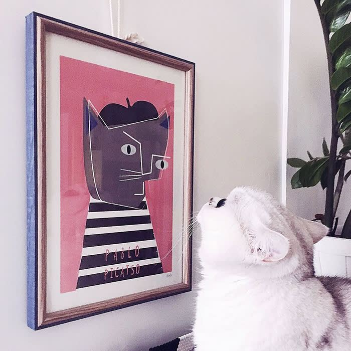 a fluffy white cat looks up at a Picasso inspired cat print