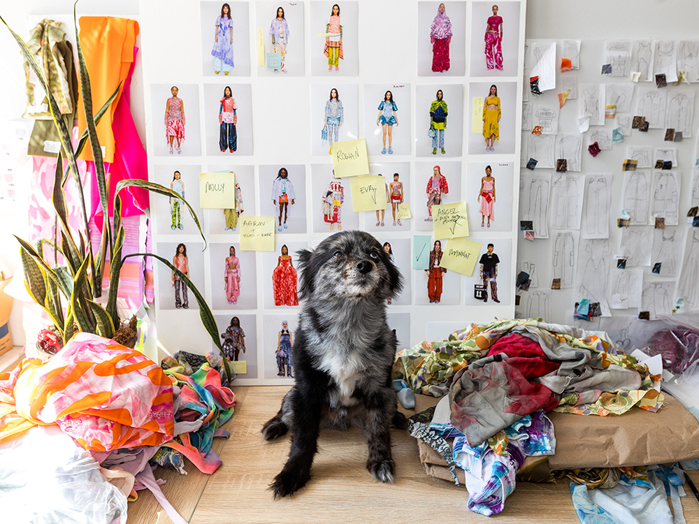 Hillary Taymour's small black dog