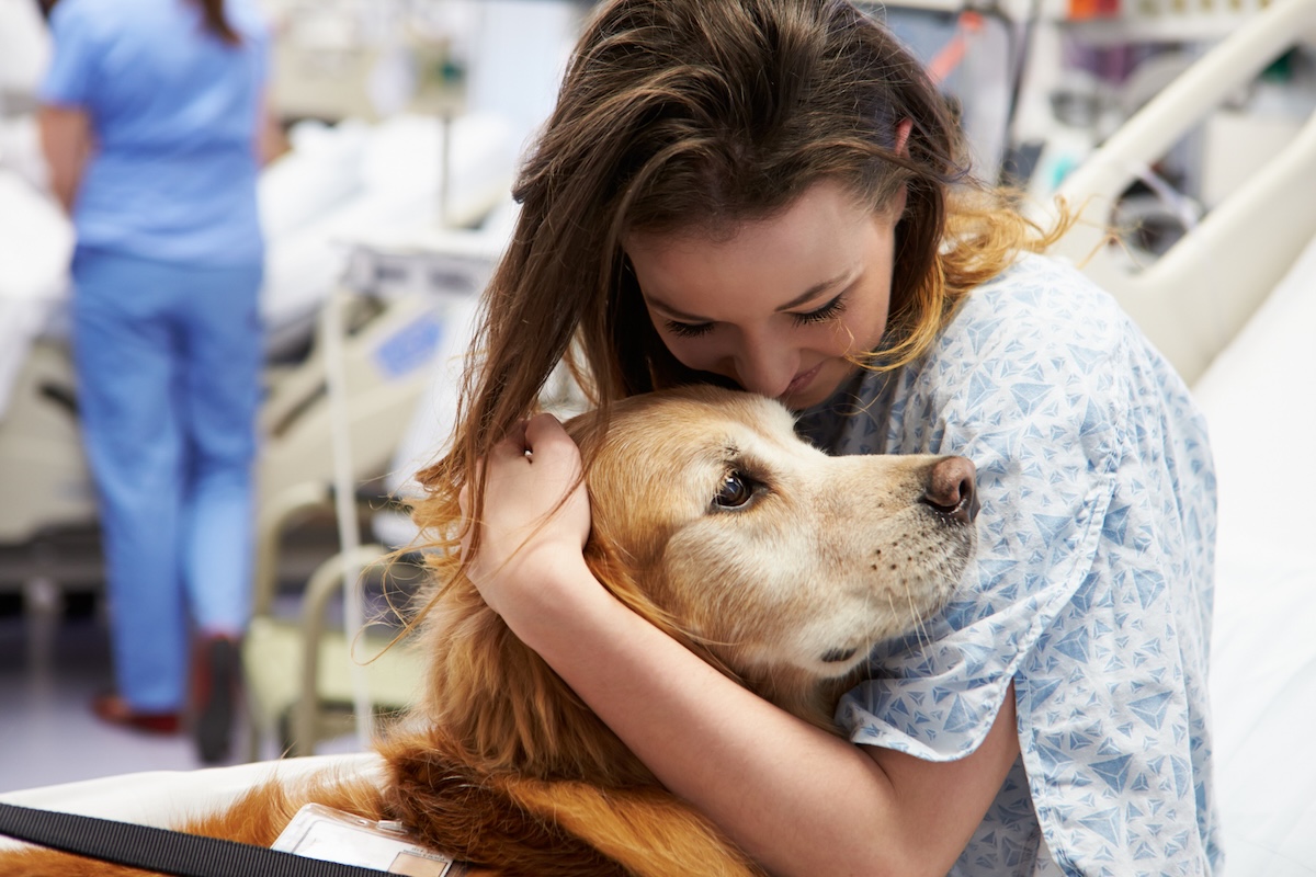 a picture of a woman in a hospital bed hugging a golden retriever dog
