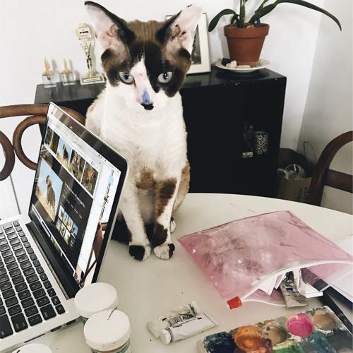 leah goren's black and white cat