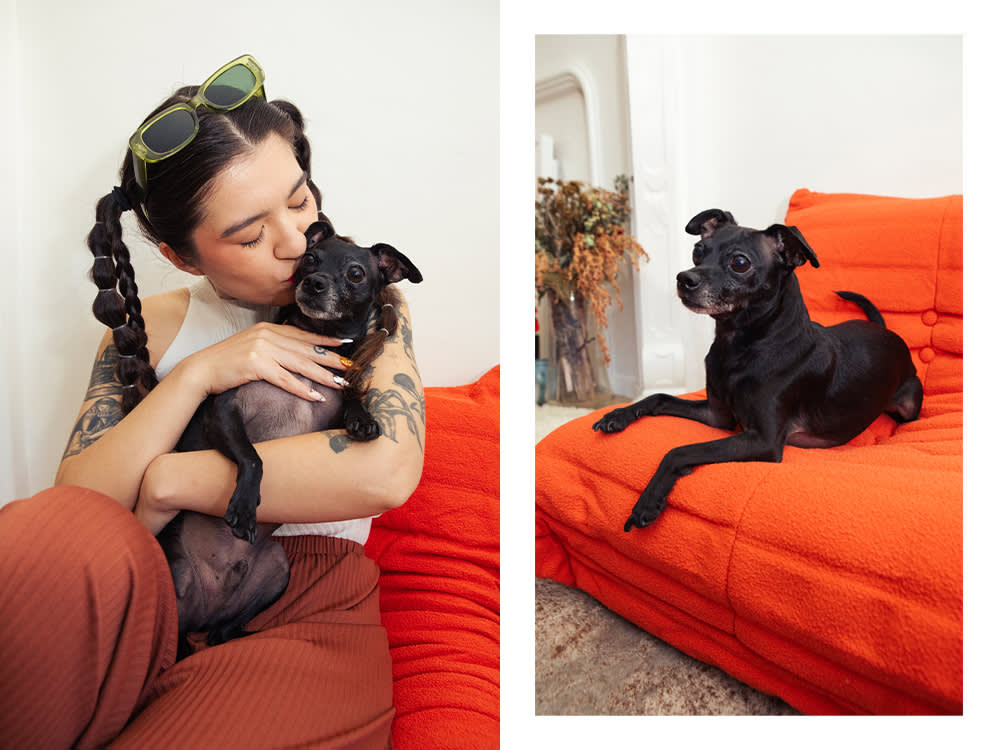 Arabelle Sicardi kisses Titan; Titan poses on an orange chair