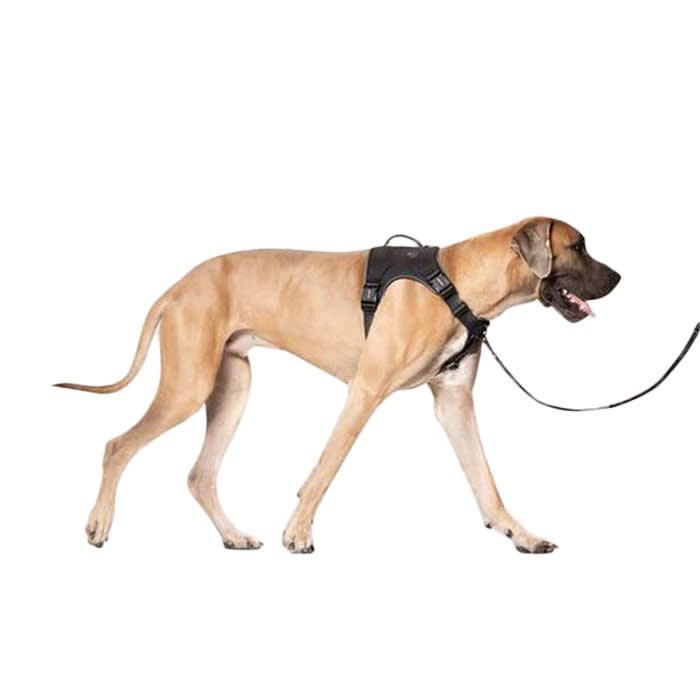 canada pooch dog harness