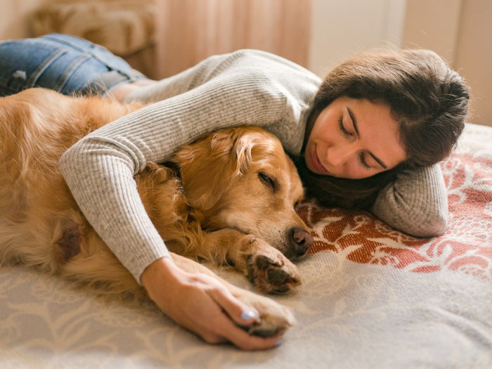 Girl Carefully Hugs A Sick Lying Dog