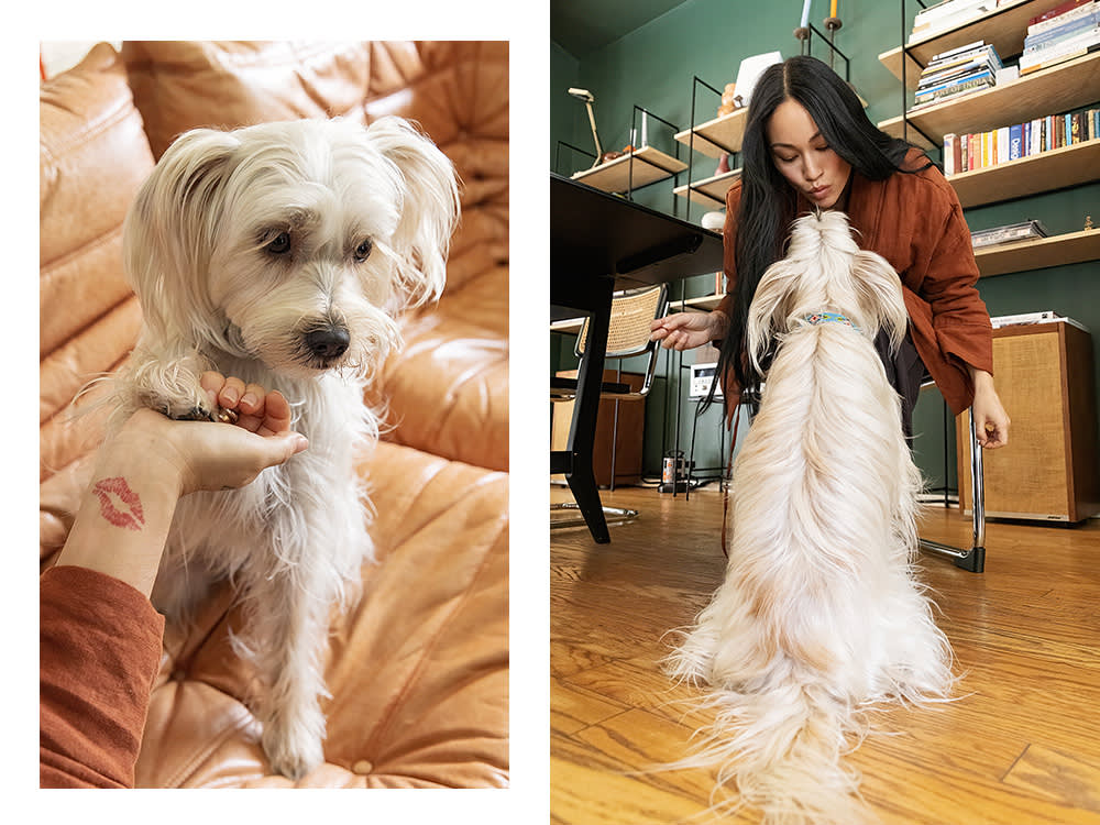 Stephanie Shepherd and her small white dog Binx