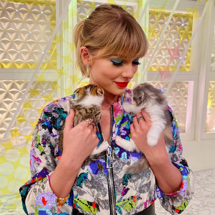 Taylor Swift holding two cats
