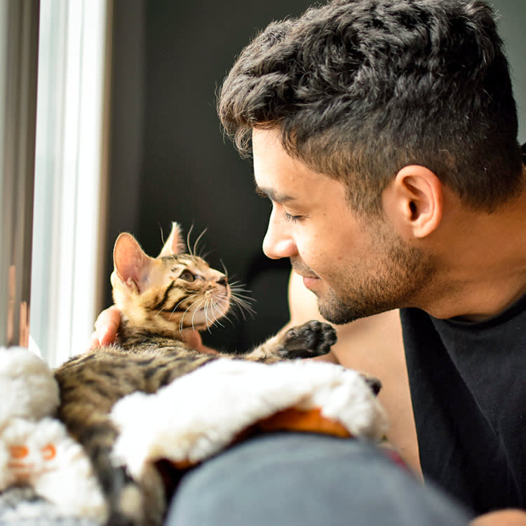 Man looking at his kitten at home on the couch.