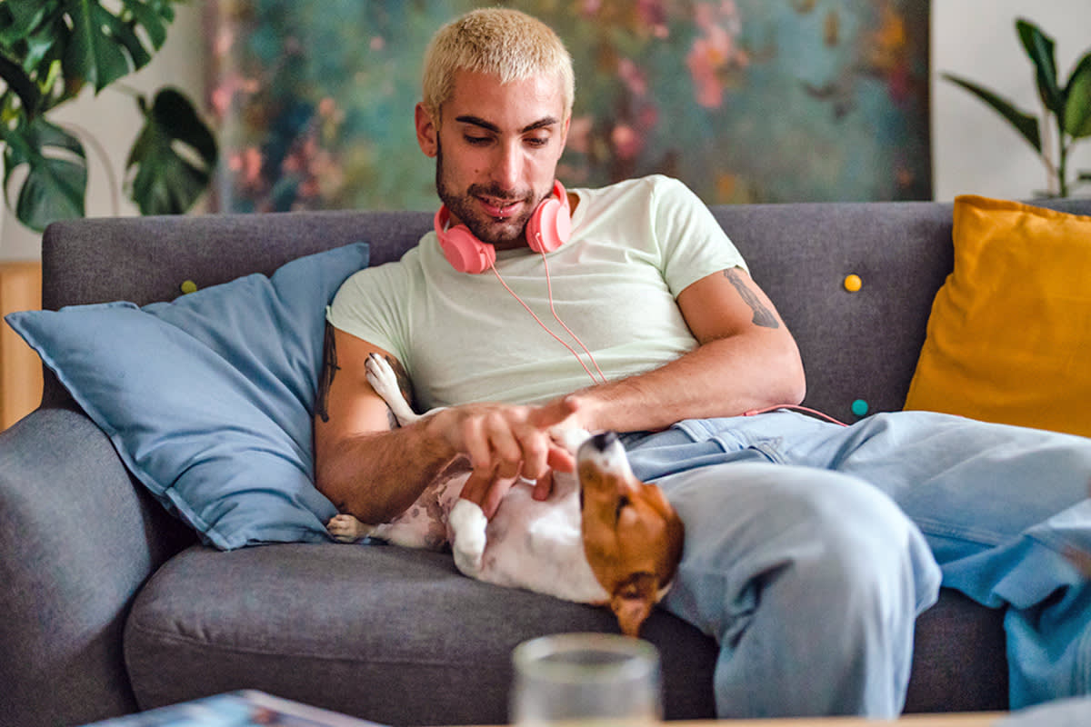 person petting a dog on the couch
