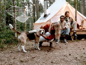 three people glamping in a safari tent with a beagle dog