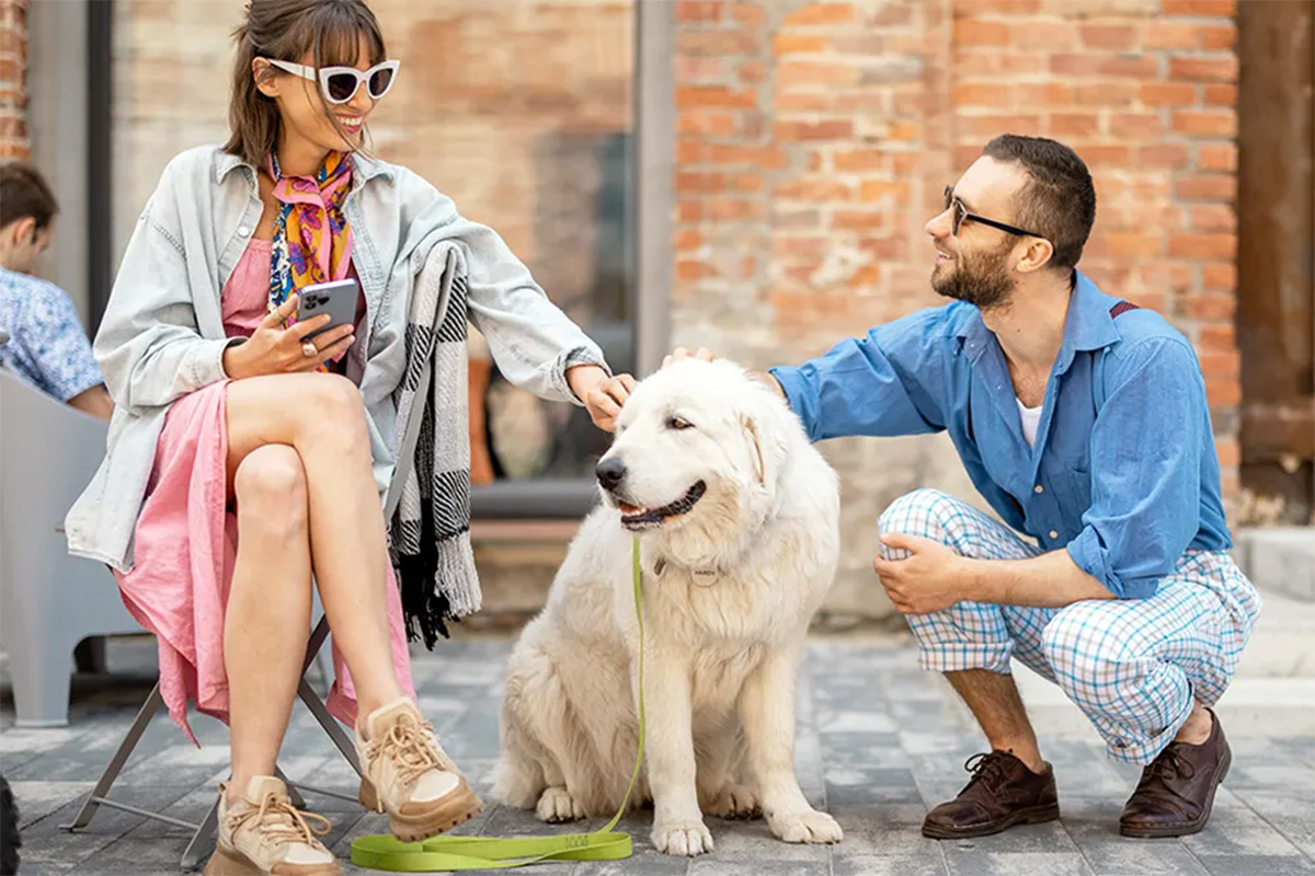 woman and men pet a dog who sits between them