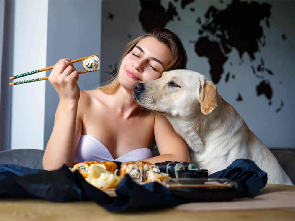 A blonde Labrador resting its head on the shoulder of a woman who is holding a piece of sushi with chopsticks – the dog is looking longingly at the sushi.