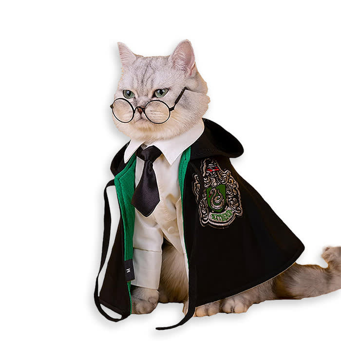 cat in a Draco Malfoy costume