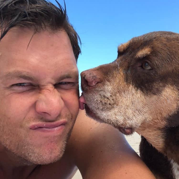 Tom Brady's Dog