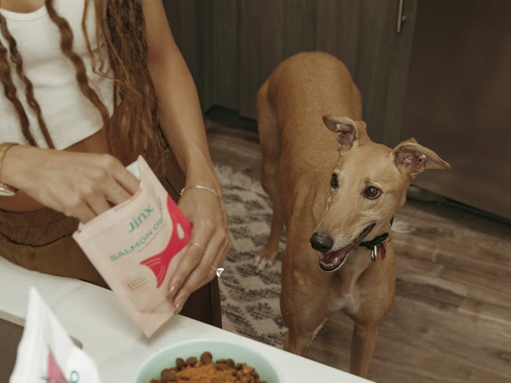 jinx treats in kitchen with dog