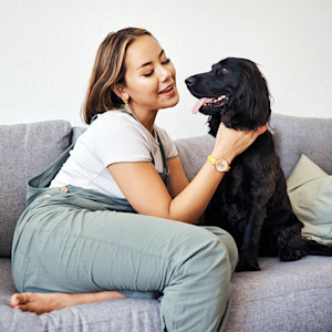Woman with dog in home on sofa, relaxing and playing.