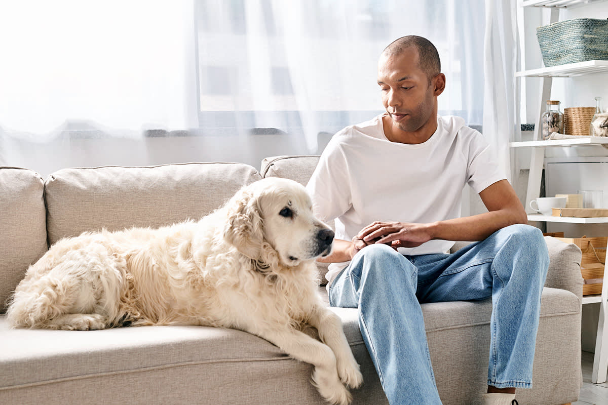 Dog with person sitting on couch