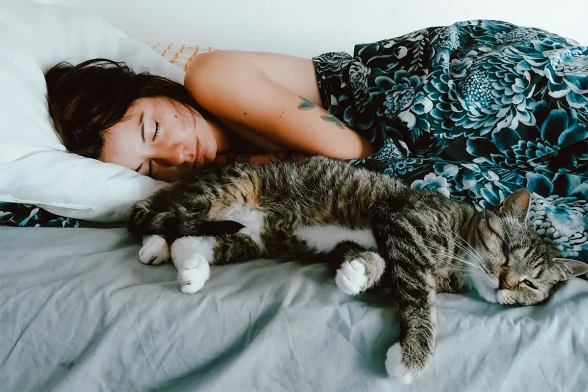 Cat lying next to a person asleep