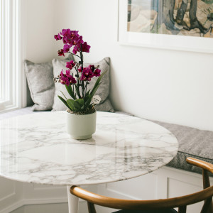 Purple Orchid sitting on a marble table in the corner of a home