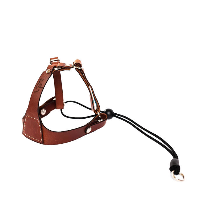 2024-06-25 best cat harnesses- OutBound Cat Harness