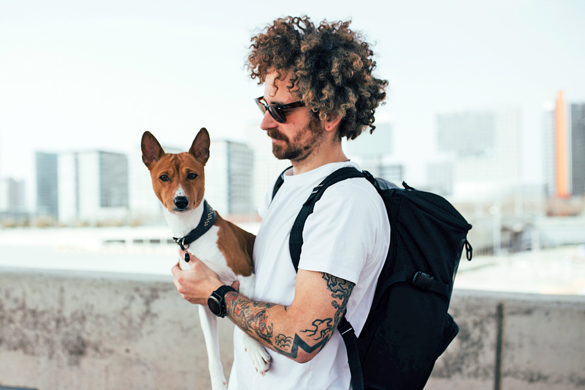 Dog with person in city