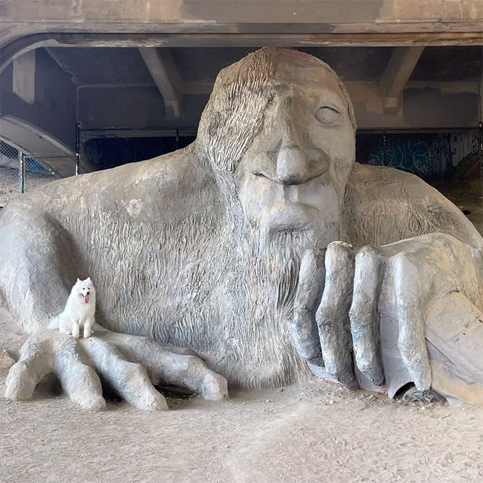 a dog by the Fremont Troll