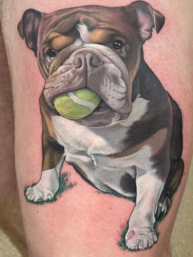 A full colour tattoo of a Bulldog with a tennis ball in their mouth.
