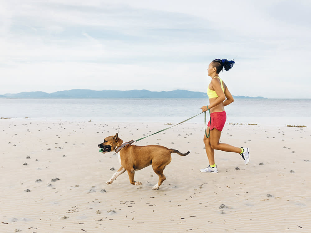Is Walking Your Dog Good Exercise? · The Wildest