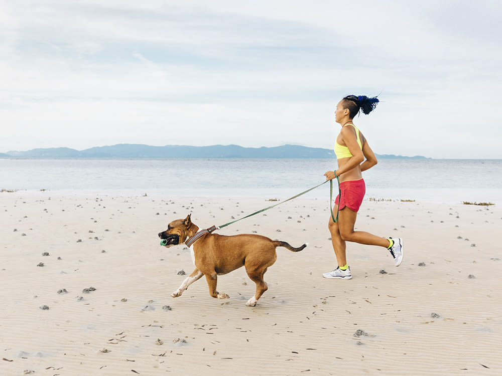how can i exercise my dog without walking