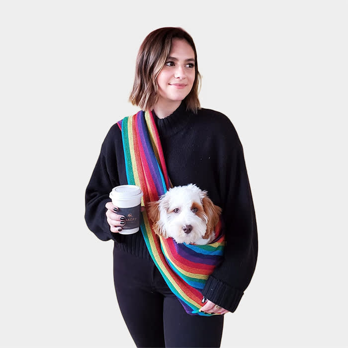 Walking Palm Dog Sling Carrier in Rainbow Woven