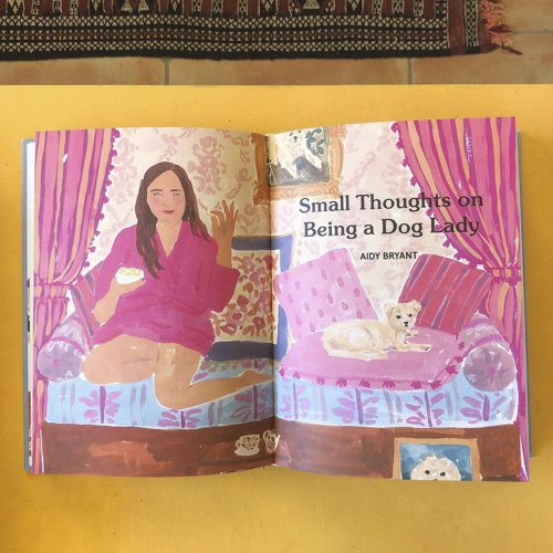 Aidy Bryant cat lady story 