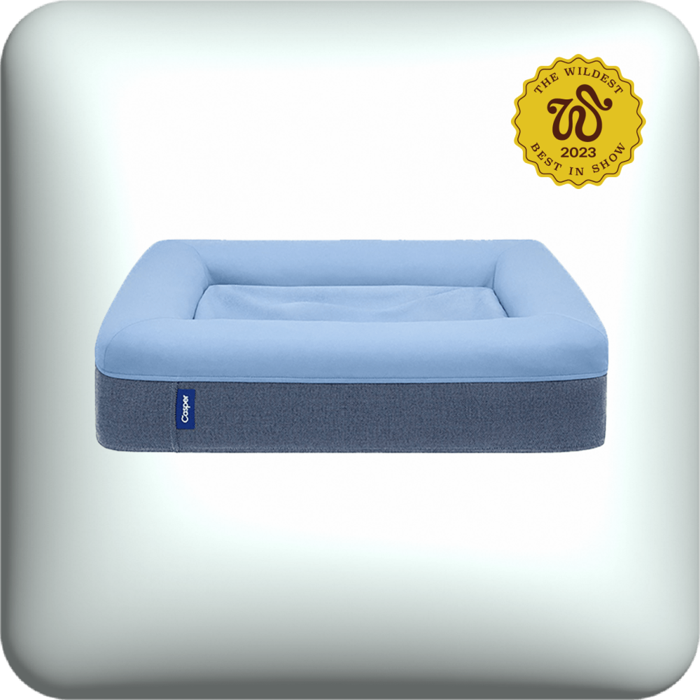 casper dog bed 