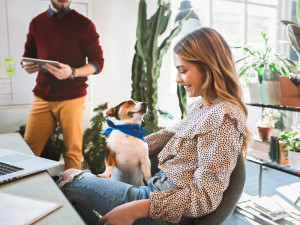 Woman at work with her small dog on her lap