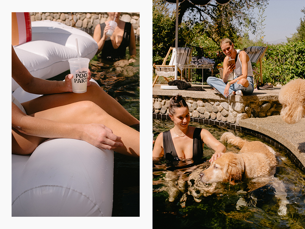 people and dogs lounging in a pool