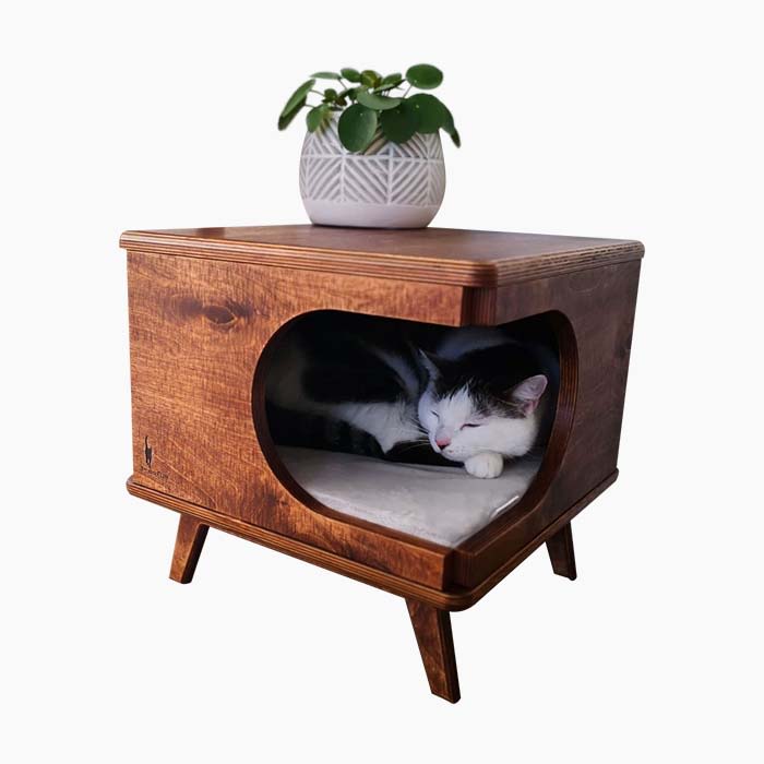 cat in wooden side table