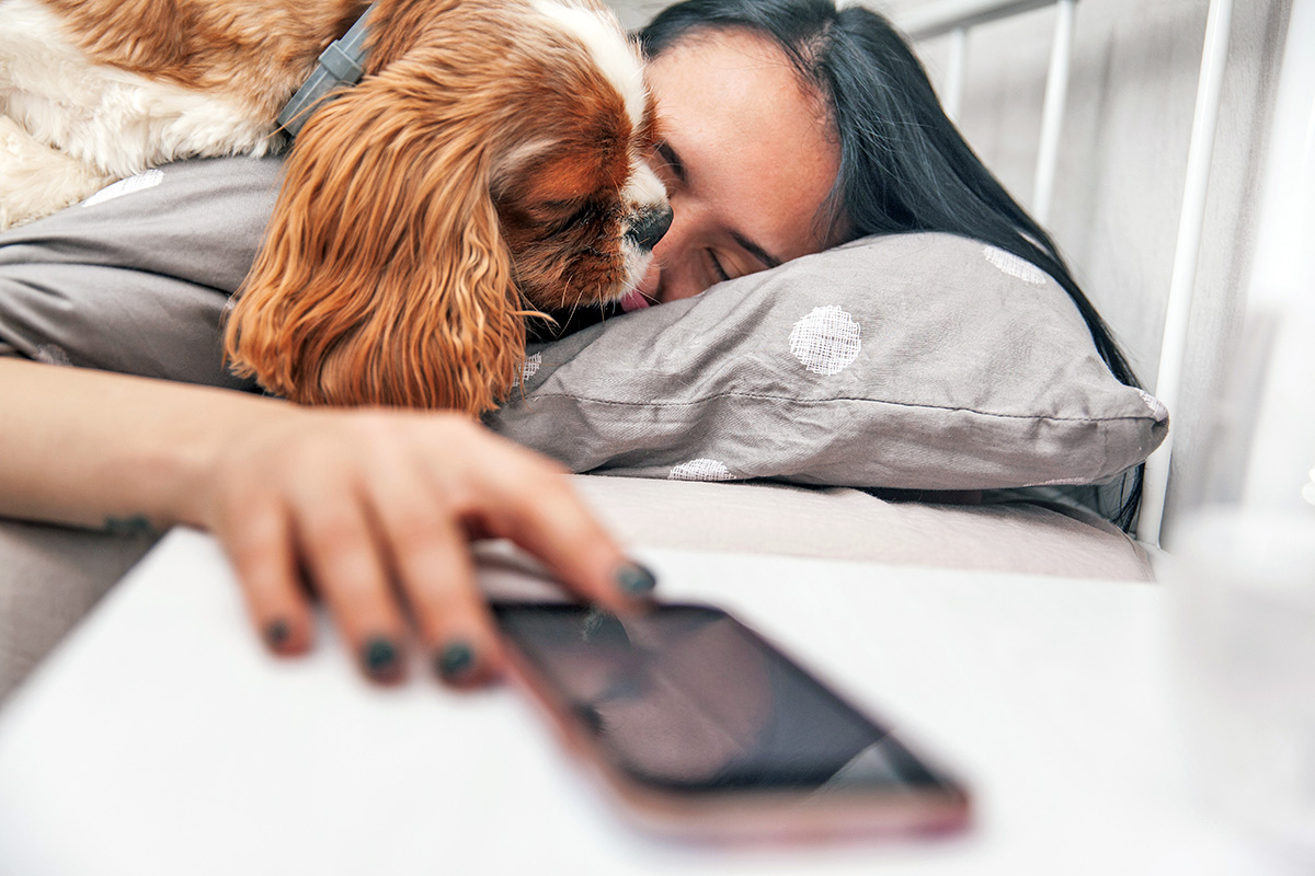 dog licking sleeping person