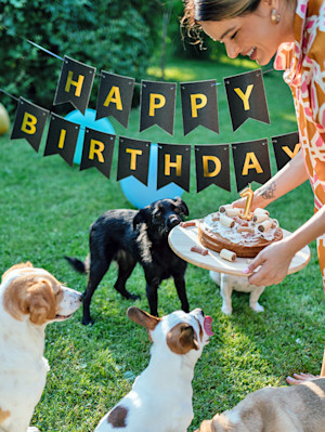 Dog Birthday Party.